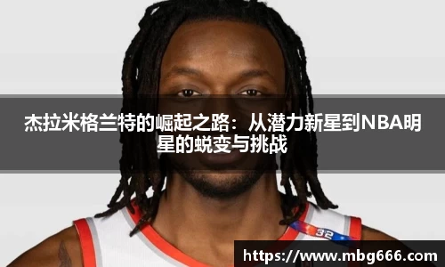 米兰体育官方网站